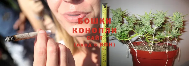 Конопля OG Kush  Лиски 